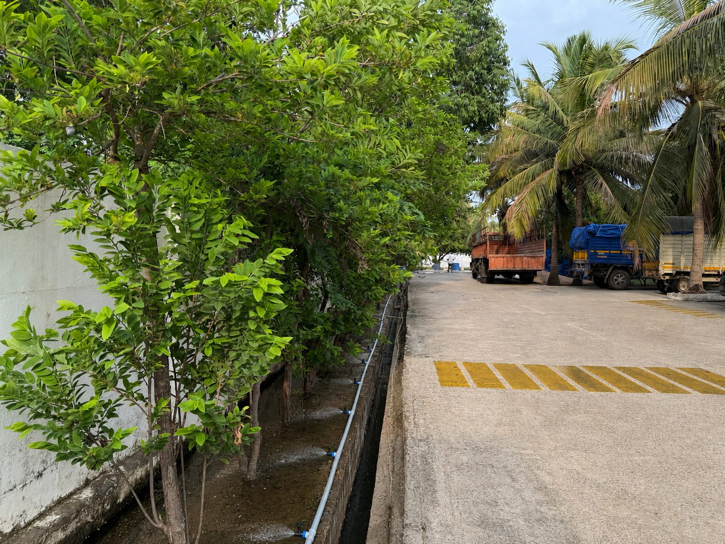 Water treatment and green landscape ecosystem